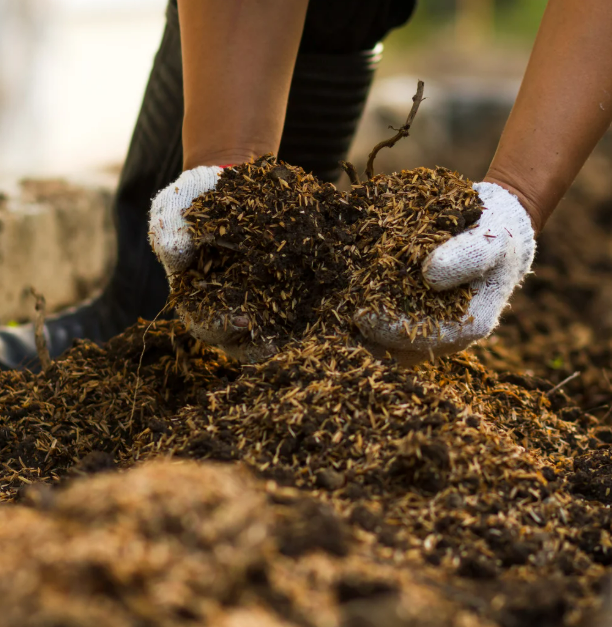 Centro de compostaje